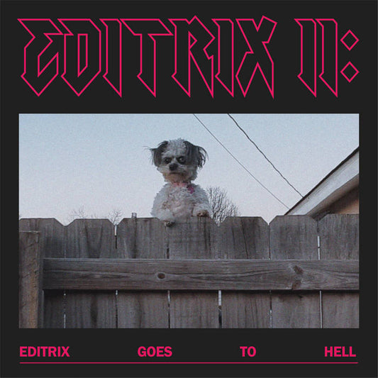 Editrix II - Editrix Goes to Hell LP