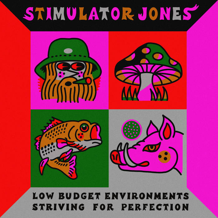 Stimulator Jones - Low Budget Environments Striving for Perfection LP