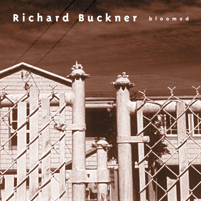 Richard Buckner - Bloomed LP