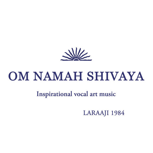 Laraaji - Om Namah Shivaya: Inspirational Vocal Art Music LP