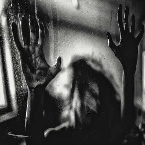 Behind The Shadow Drops - Harmonic LP