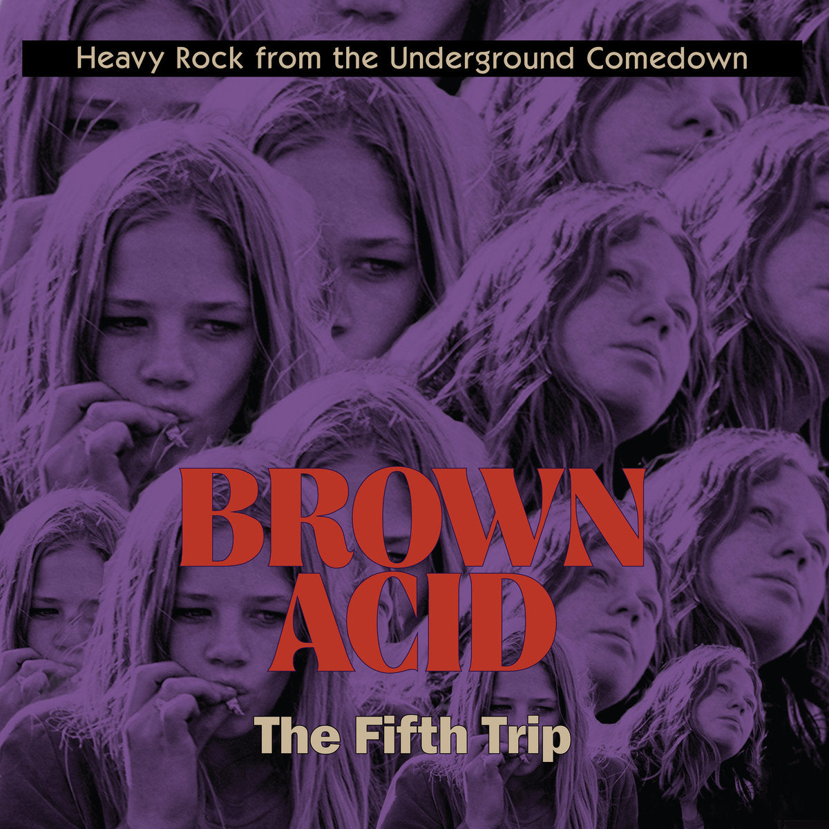 Various - Brown Acid: The Fifth Trip LP