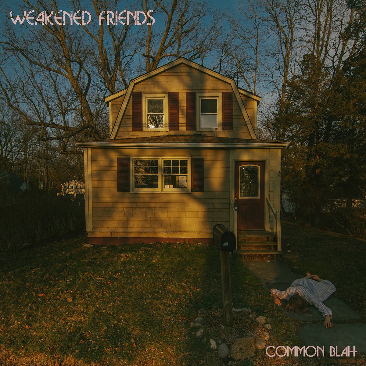 Weakened Friends - Common Blah LP