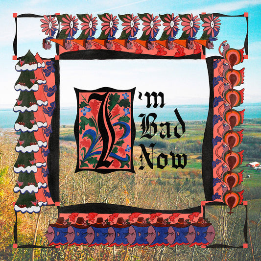 Nap Eyes - I'm Bad Now LP