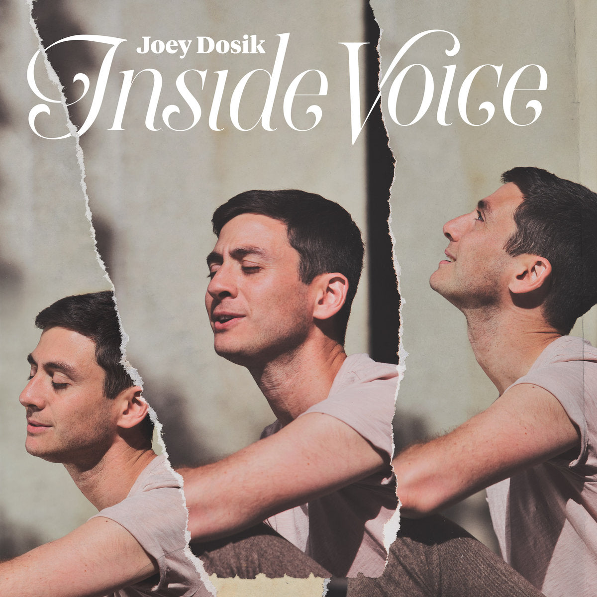 Joey Dosik - Inside Voice LP