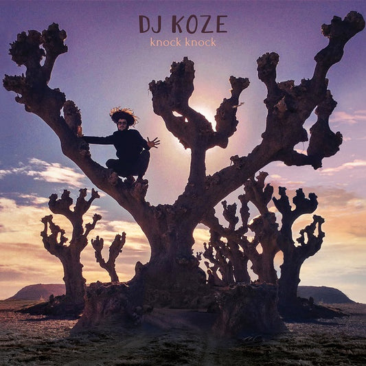 DJ Koze - Knock Knock 2LP