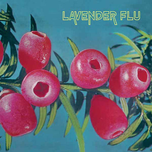 Lavender Flu - Mow the Glass LP