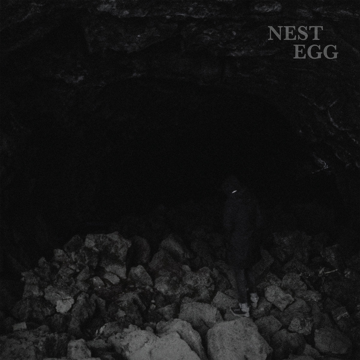 Nest Egg - Nothingness Is Not a Curse LP