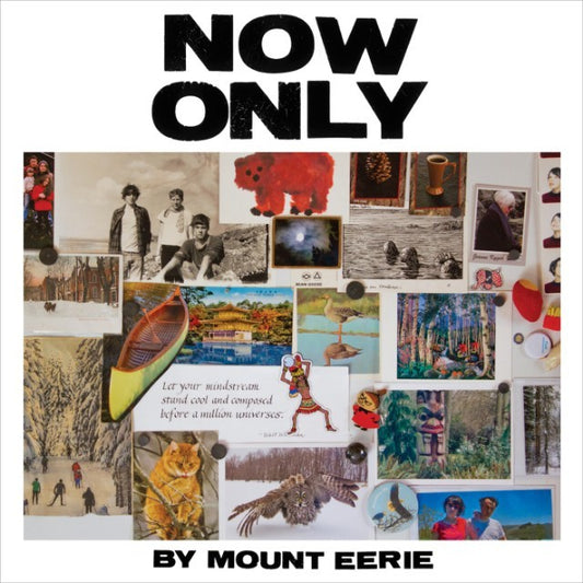 Mount Eerie - Now Only LP