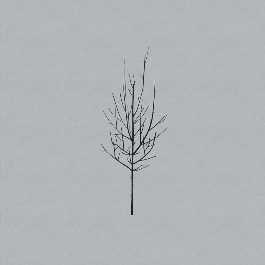 Low - Ones And Sixes 2LP