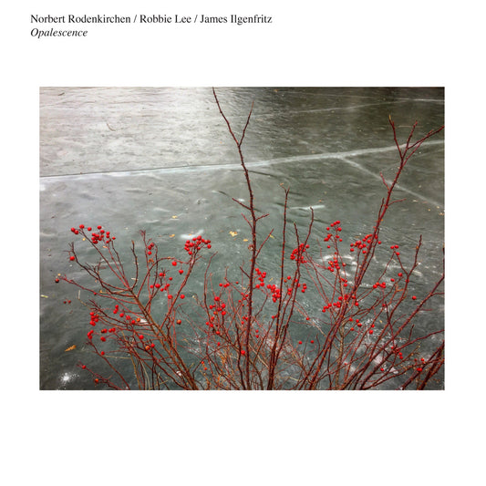 Norbert Rodenkirchen / Robbie Lee / James Ilgenfritz - Opalescence LP