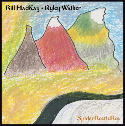 Bill MacKay & Ryley Walker - SpiderBeetleBee LP