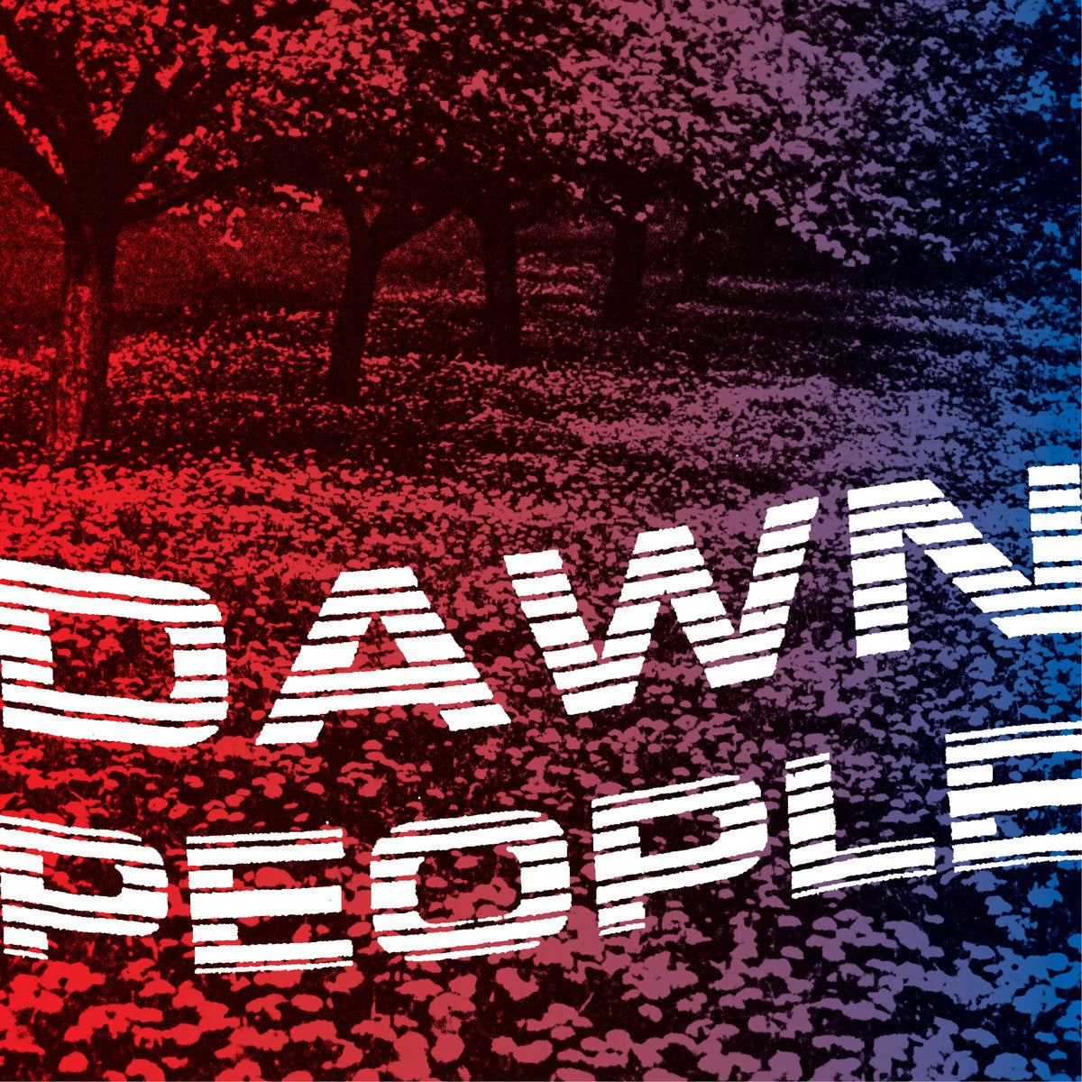 Dawn People - The Star Is Your Future LP
