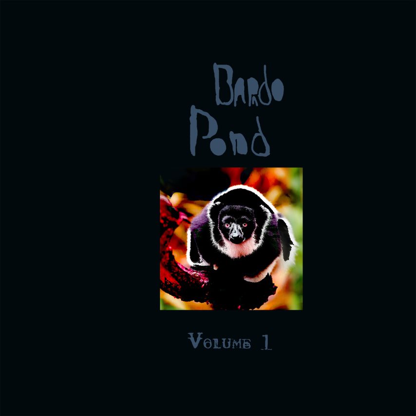 Bardo Pond - Volume 1 LP