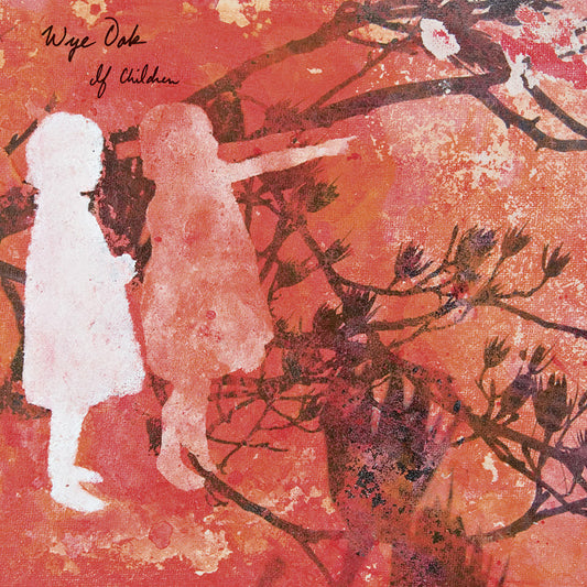 Wye Oak - If Children: 15th Anniversary Reissue LP